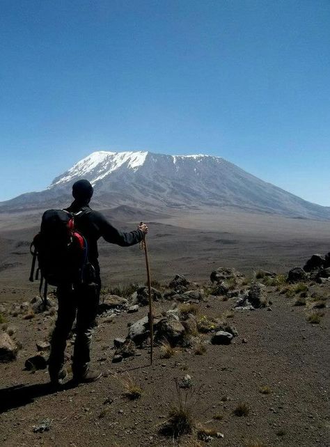 Conquering Kilimanjaro Climb Kilimanjaro, Kilimanjaro Tanzania, Kilimanjaro Climb, Mt Kilimanjaro, Tanzania Africa, Mount Kilimanjaro, Travel Packages, Future Plans, African Safari