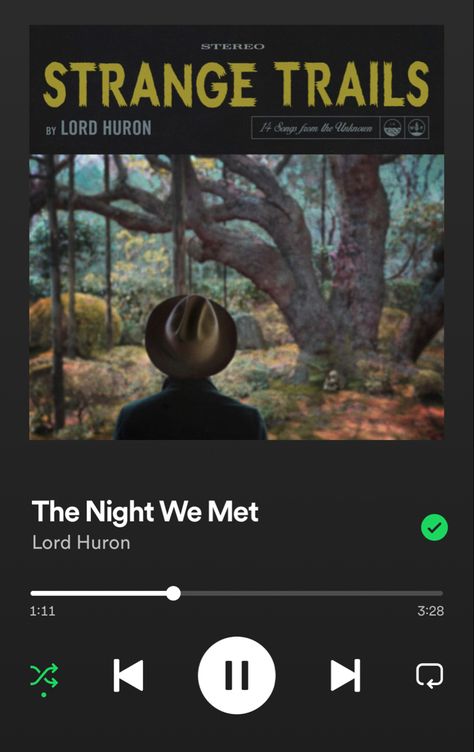 Strange Trails, Strawberry Jams, Spotify Screenshot, The Night We Met, Night We Met, Lord Huron, Song Recommendations, Soul Songs, Music Album Covers