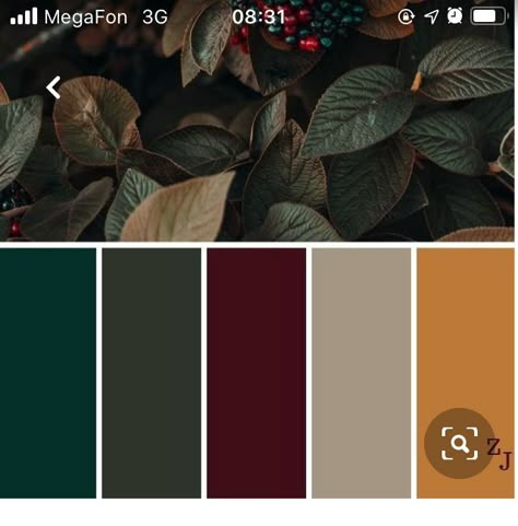 Dark Green Room Color Scheme, Hunter Green And Rust Color Palette, Dark Moody Palette, Burgundy Gold Green Color Palette, Dark Boho Color Scheme, Terracotta And Dark Green Color Palette, Jewel Tone Living Room Color Pallets, Burgundy Lounge Living Rooms, Maroon And Green Aesthetic