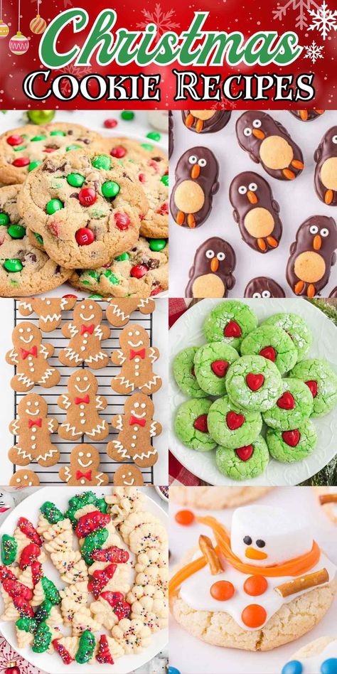 Top 5 Christmas Cookies, Christmas Cookies That Ship Well, Best Cookie Exchange Recipes, Christmas Bake Exchange Ideas, Unique Christmas Cookie Flavors, Best Christmas Cookie Exchange Recipes, Christmas’s Cookies, Christmas Cookie Ideas Recipes, Christmas Cookie Lasagna