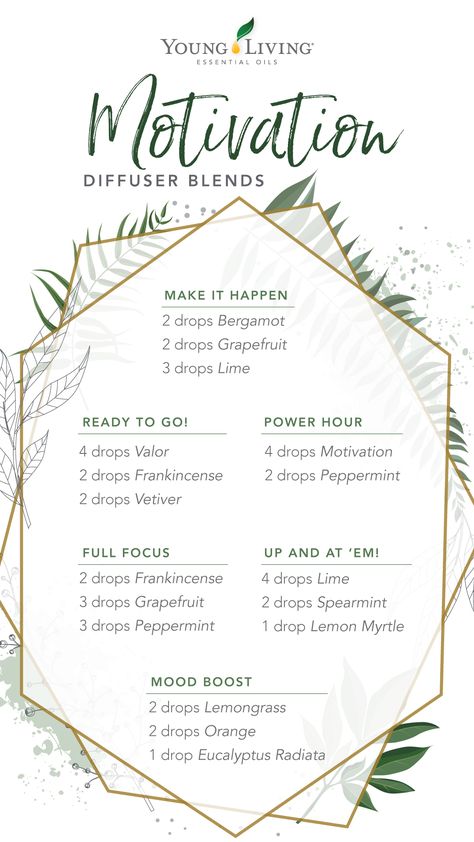 Yl Diffuser Blends, Young Living Essential Oil Diffuser, Magick Oil, Orange Eucalyptus, Essential Oils Focus, Eo Blends, Eucalyptus Radiata, Essential Oil Perfumes Recipes, Doterra Oil