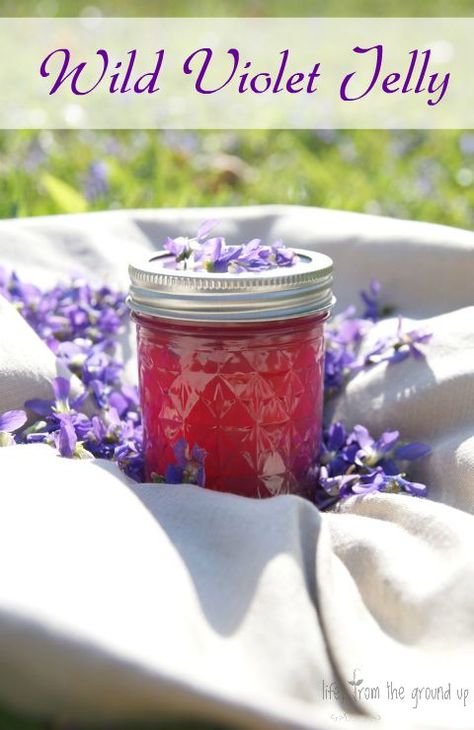 Homemade Violet Jelly Violet Jelly, Farmers Life, Couples Recipes, Modern Homestead, Backyard Farm, Urban Farm, Pint Jars, Jelly Jars, Fruit Jelly