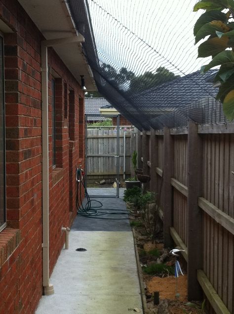 Cat Enclosures Installation Cost Sydney| Cat Netting Cost Melbourne Cat Netting, Cat Shack, Cat Net, Diy Cat Enclosure, Outdoor Pet Enclosure, Cat Enclosures, Cat Fence, Cat Patio, Outdoor Cat Enclosure