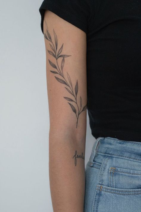 Olive Branch Around Arm Tattoo, 3in Tattoo Ideas, Women Patch Sleeve Tattoo, Vine And The Branches Tattoo, Italian Ruscus Tattoo, Olive Branch Scripture Tattoo, Classy Tattooed Women Outfit, Arm Branch Tattoo, Botanical Olive Branch Tattoo