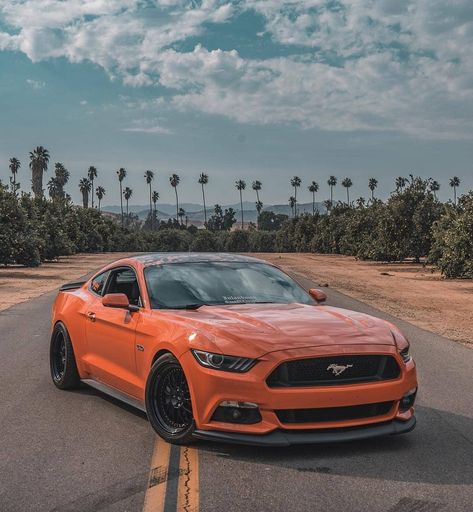 Nice mustang Prom Car, 2018 Mustang, Modern Muscle Cars, New Mustang, S550 Mustang, Shelby Gt, Old Classic Cars, Pony Car, Ford Mustang Shelby