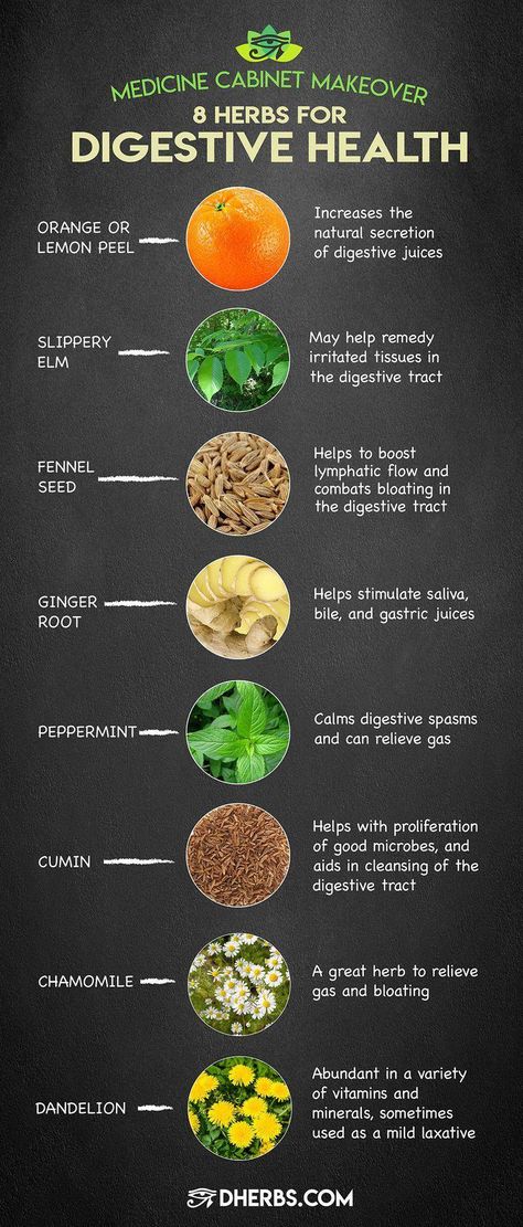 "If healthy digestion is what you seek, it has to start with the food you eat." Read more about these herbs that work for digestive health on our blog. Medicine Cabinet Makeover, Gastric Juice, Best Smoothie, Crystal Makeup, Digestive Juice, Benefits Of Coconut Oil, Leaky Gut, Healthy Digestion, Digestive System