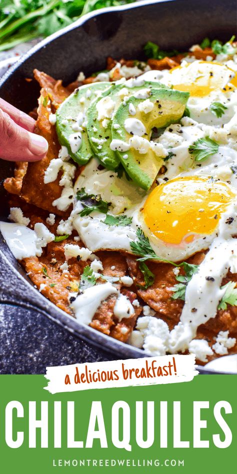 Mexican Food Recipes Breakfast, Latin American Breakfast Recipes, Authentic Mexican Breakfast Ideas, Hispanic Breakfast Ideas, Chiliquillas Recipe Breakfast Easy, Chilaquiles Recipe Mexican, Breakfast Ideas Mexican, Chiliquillas Recipe Breakfast, Baked Chilaquiles Recipe