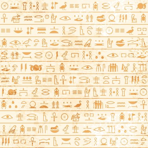 Egypt Infographic, Egyptian Design Pattern, Egypt Civilization, Egyptian Drawings, Egyptian Papyrus, Egypt Hieroglyphics, Egypt Design, Egyptian Pattern, Ancient Egypt Pharaohs