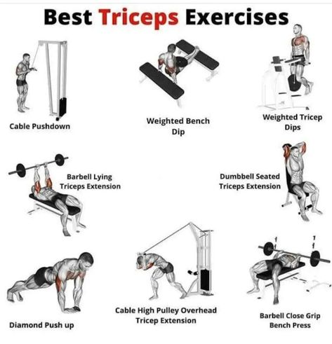 Tricep Cable Workout, Cable Pushdown, Muscle Workouts, Tricep Press, Triceps Extension, Triceps Exercises, Gym Routines, Overhead Tricep Extension, Tricep Pushdown