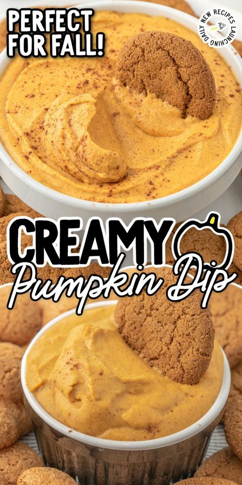 Pumpkin Dip Pumpkin Dip With Cream Cheese, Pumpkin Dip With Cool Whip, Sweet Pumpkin Dip, Dips Savory, Pumpkin Cream Cheese Dip, Pumpkin Dip Recipe, Fall Dip, Pumpkin Pie Dip, Pie Dip