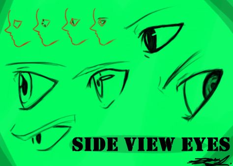 Side View Eyes, Eye Drawing Cartoon, Manga Sketchbook, Eye Color Facts, Eyes Male, Character Bases, Expression Reference, Eye Drawings, Manga Reference