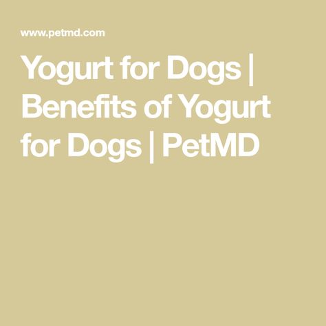 Yogurt for Dogs | Benefits of Yogurt for Dogs | PetMD Greek Yogurt For Dogs, Yogurt For Dogs, Benefits Of Yogurt, Source Of Calcium, Dog Probiotics, Yogurt Benefits, Making Yogurt, Probiotic Benefits, Yogurt Flavors