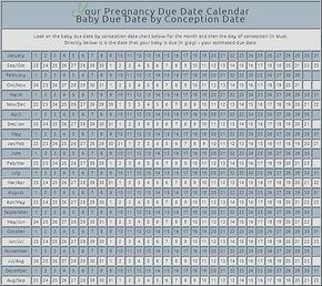 Pregnancy Due Date Calendar (by conception date) Pregnancy Months Due Date, Pregnant Due Date Chart, Conception Calendar, Conception Date Due Date, When To Get Pregnant, Pregnancy Date, Dates During Pregnancy, When To Get Pregnant Calendar Due Date, Conception Calendar Due Date