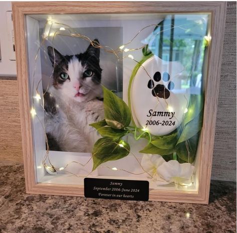 Cat Memorials Diy, Cat Shadow Box Memorial, Pets Memorial Ideas, Diy Pet Memorial Ideas Dogs, Pet Keepsake Ideas, Pet Sympathy Quotes, Pet Memorial Ideas Dogs, Shadowbox Ideas, Pet Memorial Frames