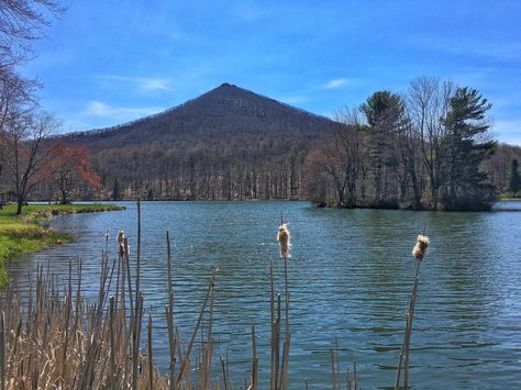 Sharp Top Mountain at the Peaks of Otter in Virginia Blue Ridge Mountains Art, Mountain Meadow, Mountain Art, Blue Ridge Mountains, Blue Ridge, Otters, Mount Rainier, Virginia, Natural Landmarks