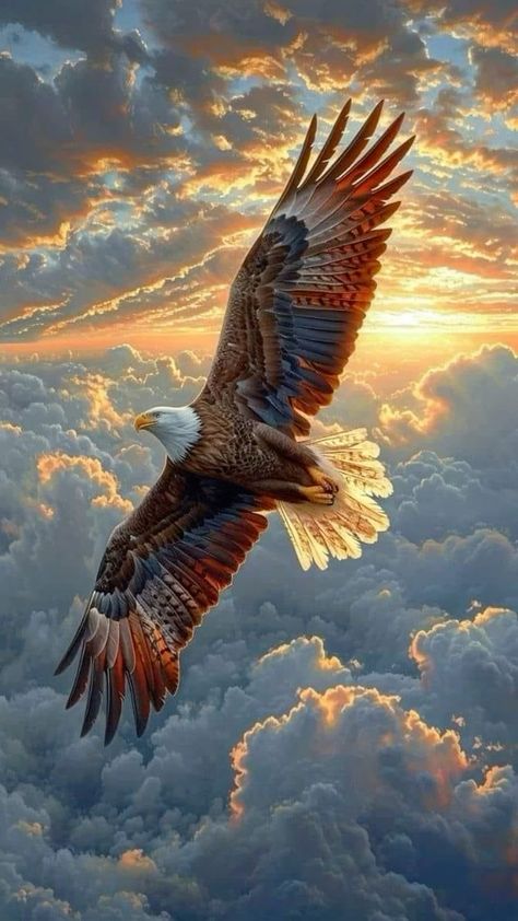 Camoflauge Wallpaper, Fly Like An Eagle, Aigle Royal, Birds Photography Nature, Eagle Eyes, Eagle Painting, Eagle Pictures, Trending Pins, Skull Artwork