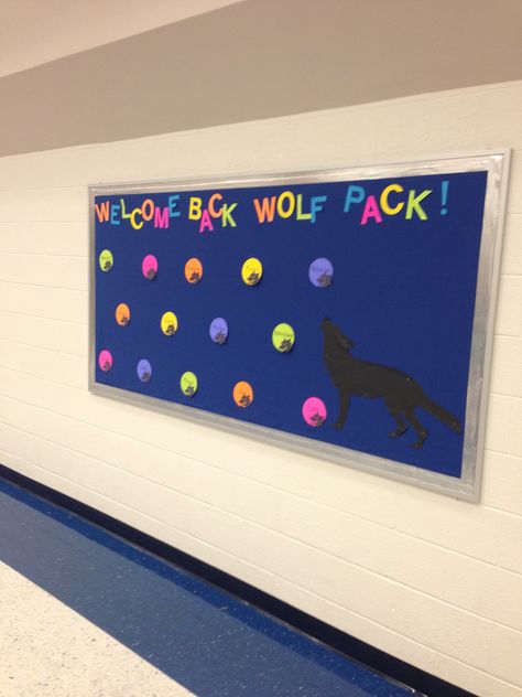 Back to school bulletin board! Wolf Mascot "Welcome back, Wolf Pack" Wolf Classroom Theme, Wolf Bulletin Board Ideas, Welcome Back Boards, Hollywood Classroom, Wolf Mascot, Elementary Bulletin Boards, Clean Classroom, Ocean Mural, Wolf Den