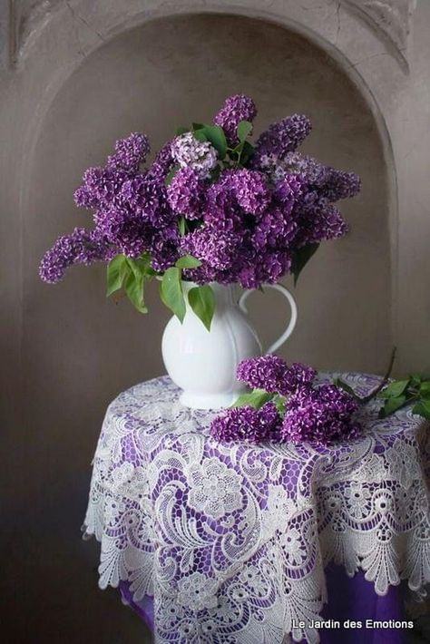 Purple Pics, Embroidery Goldwork, Knitting Flowers, Lilac Painting, Everything Purple, Lovely Flowers Wallpaper, Flowers Bouquet Gift, Foto Tips, Flowers For You