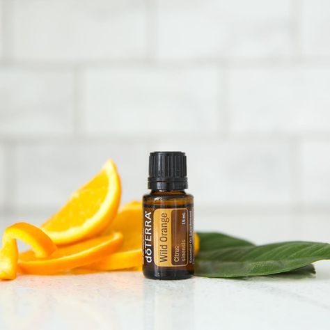 Doterra Wild Orange, Wild Orange Essential Oil, Wild Orange, Doterra Oils, Orange Essential Oil, Orange Oil, Sweet Scents, Doterra, Essential Oil