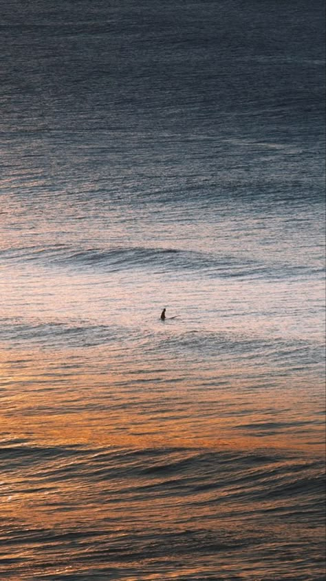 Surfing Pictures Aesthetic, Aesthetic Surfing Wallpaper, Surfer Wallpaper Iphone, Surf Wallpaper Aesthetic, Surfing Wallpaper Iphone, Surf Iphone Wallpaper, Surfing Aesthetic Wallpaper, Surfboard On Wall, Surf Asthetic Picture