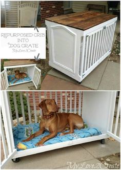 20 Delightfully Creative and Functional Ways to Repurpose Old Cribs - DIY & Crafts get out Naany would love this! Baby Cribs Diy, Cribs Diy, Baby Crib Diy, Old Cribs, Best Baby Cribs, Diy Dog Crate, Dog Kennel Furniture, Diy Dog Kennel, Diy Storage Bench