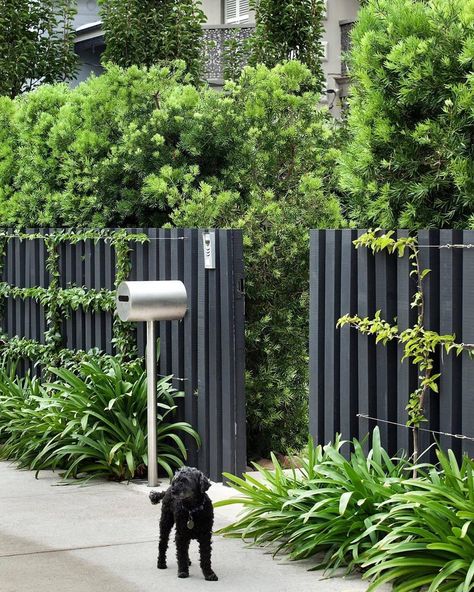 Robert Plumb Store on Instagram: “10 THINGS TO UPDATE YOUR OUTDOOR SPACE: ​ ​8. A stainless steel or copper letterbox. FREE SHIPPING on all of our copper and stainless steel…” Gard Modern, Black Fence, House Fence Design, Modern Fence Design, Modern Front Yard, Privacy Fence Designs, Cheap Backyard, Front Fence, Timber Fencing