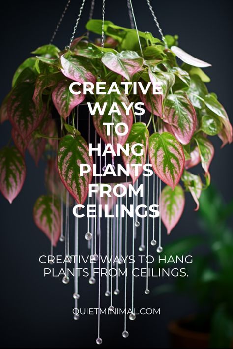 Get tips for hanging plants from the ceiling. Learn how to choose, hang, and care for your greenery. #HangingTips #CeilingPlants #IndoorGreenery #PlantCare Dining Room Hanging Plants, Hanging Plants From Drop Ceiling, Hanging Plant Pole Indoors, Hanging Plant Ladder Ceiling, Small Wall Plant Decor, Make Hanging Planter, Hanging Plant By Window, Hanging Planter In Bedroom, Hallway Plant Wall