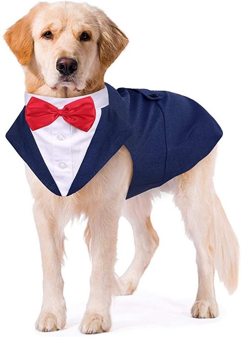 Tuxedo Wedding Party, Tuxedo For Wedding, Dog Tuxedo Wedding, Pet Clothes Patterns, Formal Dog, Best Small Dogs, Prince Wedding, Dog Wedding Attire, Dog Tuxedo