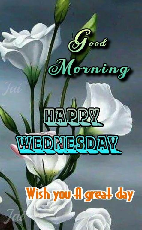 Good Morning Saturday Wishes, Wednesday Morning Quotes, Wednesday Greetings, Wednesday Wishes, Mooi Prentjies, Good Morning Monday Images, Wednesday Blessings, Good Night Friends Images, Monday Images