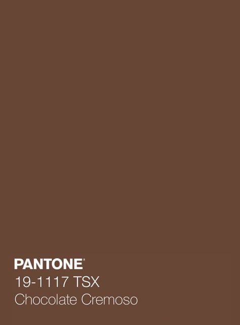 Chocolate Colour Wallpaper, Pantone Chocolate Brown, Chocolate Colour Palette, Pantone Brown, Morning Story, Candy Brown, Pantone Color Chart, Dark Chocolate Color, Biscuit Color