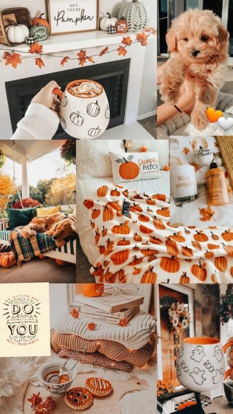 Preppy Fall Collage, Fall Wallpapers Collages, Fall Backgrounds Wallpapers Autumn, Fall Backrounds, Fall Collage, Autumn Phone Wallpaper, Helloween Wallpaper, Halloween Wallpaper Iphone Backgrounds, Fall Wallpapers