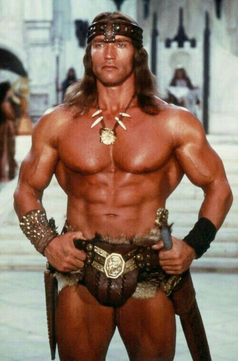 Conan the Barbarian Arnold Schwarzenegger Conan, Castle Siege, Conan The Destroyer, Arnold Schwarzenegger Bodybuilding, Schwarzenegger Bodybuilding, Lon Chaney Jr, 1984 Movie, Conan The Barbarian, Red Sonja