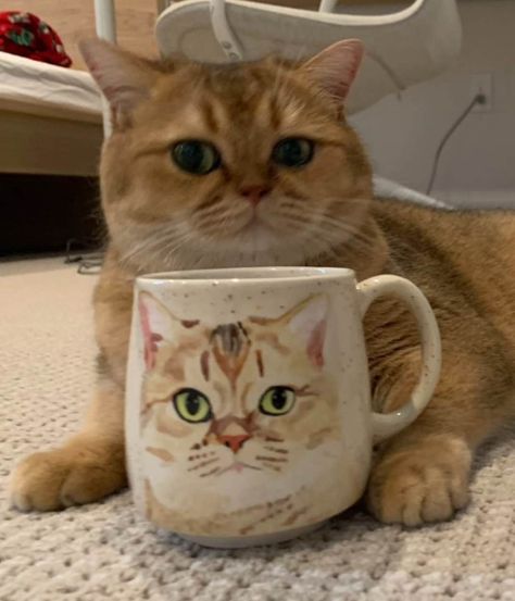 Pet Custom Mug Cat Mug Dog Mug Pet Mug, Made to Order Pet Portrait Mug, Coffee Cup Pet Gift, Hand Painted Ceramic Mug, Pet Painting - Etsy Painted Ceramic Mug, Cat Coffee Cups, Dog Mug, Hand Painted Ceramic, Cat Mug, Pet Gift, Pottery Studio, Mug Coffee, Pottery Painting