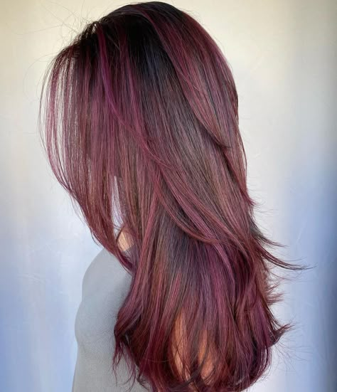 Red Purple Hair With Blonde Highlights, Brown Hair With Wine Highlights, Pink Balayage Brown Hair, Long Coloured Hair, Different Dyed Hair Styles, Plum Hair Color With Highlights, Purple And Brown Highlights, Plum Balayage Hair Brunettes, Colour Highlights Brown Hair