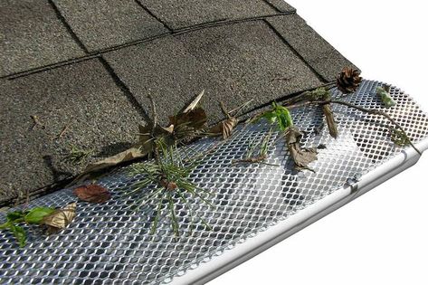 Gutter guards (aka leaf covers for gutters) are an attractive idea to homeowners whose homes are surrounded by large trees. Plenty of marketing dollars go into promoting gutter guards, but are they really worth the money? In this guide, we cover the cost to install gutter leaf guards, their pros and cons, and alternative approaches […] Gutter Leaf Guard, Painting Gutters, Gutter Bookshelf, Gutter Screens, Diy Gutters, Gutter Guards, Gutter Protection, Leaf Guard, Copper Gutters