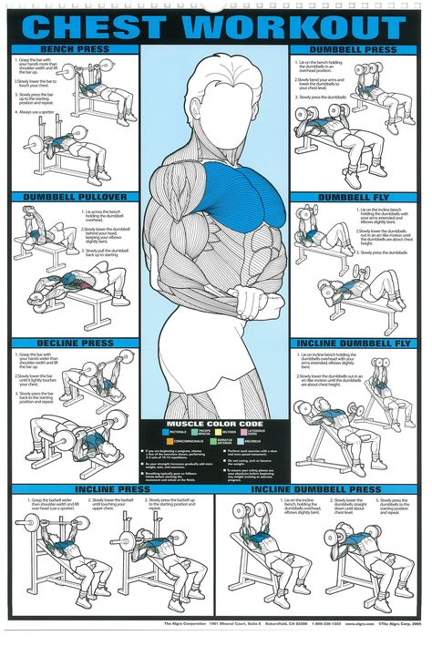 Imgur: The most awesome images on the Internet. Crosstrainer Workout, Corp Perfect, Fitness Studio Training, Latihan Dada, Trening Sztuk Walki, Best Chest Workout, Gym Antrenmanları, Gym Poster, Muscle Abdominal