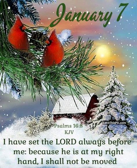 Hello January Quotes, January Images, Hello January, True Vine, January Calendar, Good Morning Beautiful Images, Good Morning God Quotes, What Day Is It, Morning Greetings Quotes