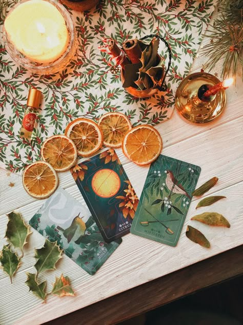 Yule Traditions, Tarot Cards Art Illustration, Yule Crafts, Occult Decor, The Desire Map, Card Photography, Wicca Witchcraft, Tarot Astrology, Winter Plants