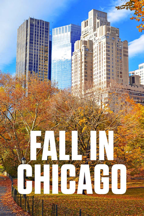 As the crisp autumn air arrives, Chicago transforms into a picturesque wonderland. Fall in Chicago is the perfect time to explore the city with its vibrant foliage, cool nights, and a variety of seasonal activities. Whether you’re a visitor or a local, there’s something for everyone—from pumpkin patches to arts and culture, seasonal flavors, and thrilling sports events. Dive into Chicago’s fall magic and discover the top activities that make this season unforgettable. What To Do In Chicago Fall, Autumn In Chicago, Chicago Things To Do In Fall, Chicago In Fall, Chicago Autumn, Chicago In October, Chicago In The Fall, Fall In Chicago, 360 Chicago