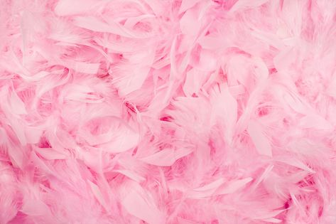 Pinkspiration Pink Feather Aesthetic, Pink Liquor, One Piece Aesthetic, Feather Background, Yennefer Of Vengerberg, Lavender Aesthetic, Heart Shaped Sunglasses, Pink Feathers, My Themes