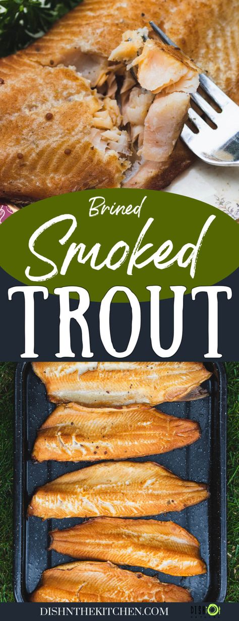 Smoked Trout Dinner Ideas, Fish Brine Recipe, Trout Brine Recipe, Smoked Trout Recipe Dinners, Smoked Trout Fillet Recipes, Smoked Trout Dip Recipes, Lake Trout Recipes, Smoked Lake Trout Recipe, Smoked Trout Recipe