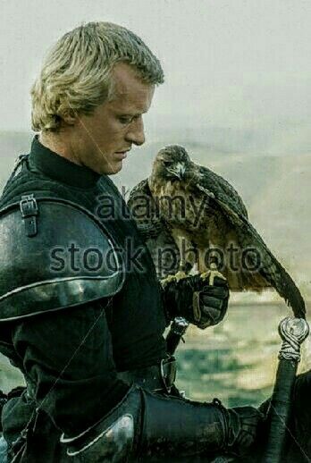 Lady Hawk, Rutger Hauer, Always Together, Tv Westerns, Romantic Fantasy, Foreign Film, The Curse, 80s Movies, Knight Armor