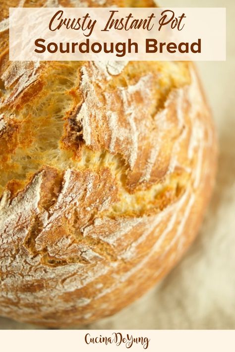 Instapot Sourdough Bread Recipe, Sourdough Instant Pot, Instant Pot Sourdough Bread, Homemade Bread Instant Pot, Instapot Bread Recipe Easy, Instapot Bread Recipes, Crock Pot Sourdough Bread, Bread Instant Pot, Instant Pot Bread Recipes Easy