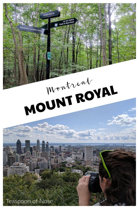 No trip to Montreal is complete without taking in the overlook views from Mount Royal! | Teaspoon of Nose Montreal Vacation, Mont Royal Montreal, Newfoundland Travel, Montreal Travel, Dream Trips, Mount Royal, Canadian Travel, Best Vacation Spots, Royal Park