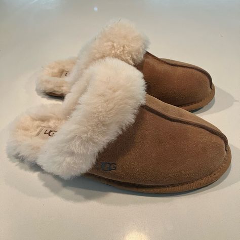 Ugg “Scuffette” Slippers. Authentic Chestnut Color With Cream Color Fur. Never Worn, In Perfect Condition. Size: 39 Ugg Scuffette Slippers Outfit, Ugg Scuffette Slippers, Nike Winter Jackets, Uggs Slippers, England Autumn, Cute Uggs, Slippers Outfit, Ugg Scuffette, Shoe Room