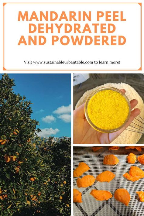 Dehydrate Mandarin Oranges, Mandarin Peel Uses, Preserved Mandarins, Preserving Mandarin Oranges, Dehydrated Mandarin Oranges, Yule Activities, Orange Peels Uses, Dehydrated Bananas, Dehydrating Food Storage