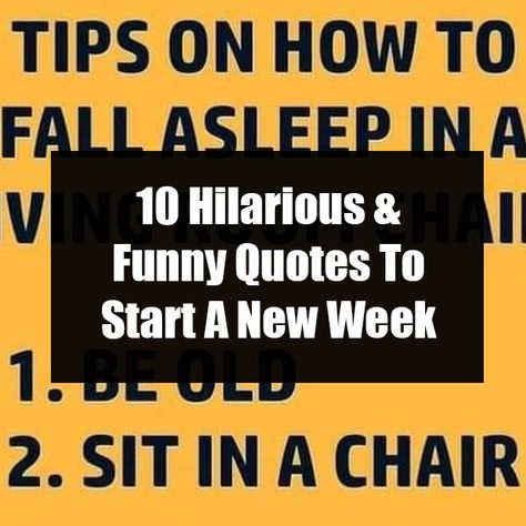 10 Hilarious & Funny Quotes To Start A New Week Quotes To Start The Week, Hilarious Funny Quotes, New Week Quotes, Week Quotes, Hilarious Funny, Quotes By Famous People, Facebook Image, New Week, Quotes Funny