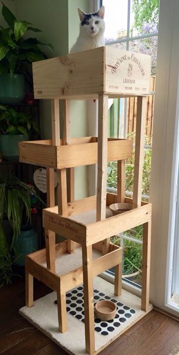 Wine box cat tree with a new penthouse level. Building A Cat Tree, Katt Diy, Wood Cat Tree, Katt Grejer, Kat Diy, Chat Diy, Diy Cat Tree, Cat House Diy, Cat Towers