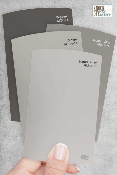 behr-multi-Natural-gray-chips Gladiator Gray Behr, Natural Gray Paint Behr, Toasty Gray Behr Color Palettes, Hailstorm Gray Behr, Behr Gratifying Gray, Behr Peppery Paint, Flannel Gray Behr Paint, Doeskin Gray Behr, Chic Grey Behr Paint