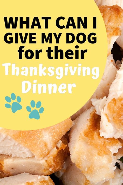 thanksgiving with dogs, thanksgiving dinner recipe, dog food recipe Dogs Thanksgiving Dinner, Dog Thanksgiving Dinner, Homemade Dog Food Vet Approved, Foods Dogs Can Eat, Thanksgiving Foods, Dog Biscuits Homemade, Dog Thanksgiving, Thanksgiving Dinner Table, Spoiled Dogs